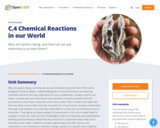 C.4 Chemical Reactions in our World