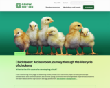 GrowNextGen: ChickQuest: A classroom journey through the life cycle of chickens