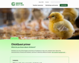 GrowNextGen: ChickQuest primer