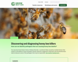 GrowNextGen: Discovering and diagnosing honey bee killers