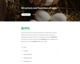 GrowNextGen: Structure and function of eggs (Elementary)