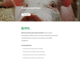 GrowNextGen: Animal nutrition