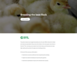 GrowNextGen: Breeding the best flock
