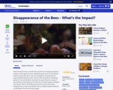 Disappearance of the Bees - What's the Impact?