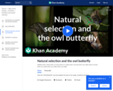 Biology: Natural Selection and the Owl Butterfly