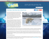 Polar Bears: Much More Than a Polar Pin-Up
