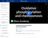 Biology: Oxidative Phosphorylation and Chemiosmosis