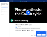 Biology: Photosynthesis:  Calvin Cycle