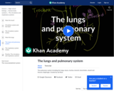Biology: The Lungs and Pulmonary System