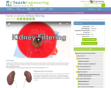 Kidney Filtering