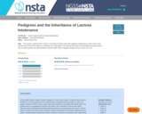 Pedigrees and the Inheritance of Lactose Intolerance