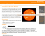 MS Science 8 : Energy in Our Life: Forms of Energy