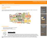 Anatomy and Physiology : Excretory System