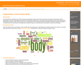 Anatomy and Physiology : Organization of the Human Body