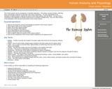 Human Anatomy and Physiology : Urinary System - Regulation