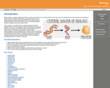 Biology : DNA  RNA and Protein Synthesis