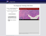 The Magscope Histology Slide Bank