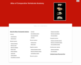 Atlas of Comparative Vertebrate Anatomy