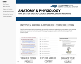 Anatomy & Physiology I Course Collection