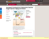 The Radical Consequences of Respiration: Reactive Oxygen Species in Aging and Disease, Fall 2007