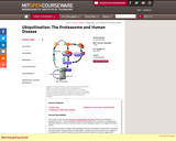 Ubiquitination: The Proteasome and Human Disease, Fall 2004