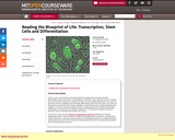 Reading the Blueprint of Life:  Transcription, Stem Cells and Differentiation, Fall 2006