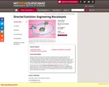 Directed Evolution: Engineering Biocatalysts, Spring 2008