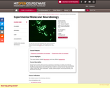 Experimental Molecular Neurobiology, Fall 2006