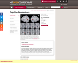 Cognitive Neuroscience, Spring 2006