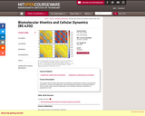 Biomolecular Kinetics and Cellular Dynamics (BE.420J), Fall 2004