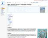 Large Intestine Overview - Anatomy & Physiology