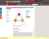 Systems and Synthetic Biology:  How the Cell Solves Problems, Fall 2010