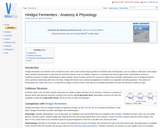 Hindgut Fermenters - Anatomy & Physiology