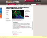 Fueling Sustainability: Engineering Microbial Systems for Biofuel Production, Spring 2011