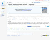 Elephant Alimentary System - Anatomy & Physiology