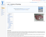 Liver - Anatomy & Physiology