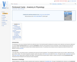Peritoneal Cavity - Anatomy & Physiology