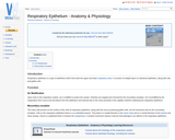 Respiratory Epithelium - Anatomy & Physiology