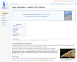 Avian Respiration - Anatomy & Physiology