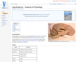 Hypothalamus - Anatomy & Physiology