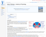 Motor Pathways - Anatomy & Physiology