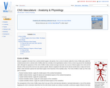 CNS Vasculature - Anatomy & Physiology