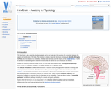 Hindbrain - Anatomy & Physiology