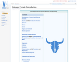 Ovary - Anatomy & Physiology