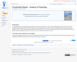 Phospholipid Bilayer - Anatomy & Physiology