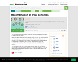Recombination of Viral Genome
