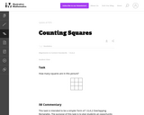 Counting Squares