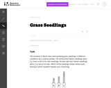 Grass Seedlings