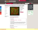 Statistical Thermodynamics of Complex Liquids, Spring 2004