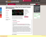 RNA Interference: A New Tool for Genetic Analysis and Therapeutics, Fall 2004